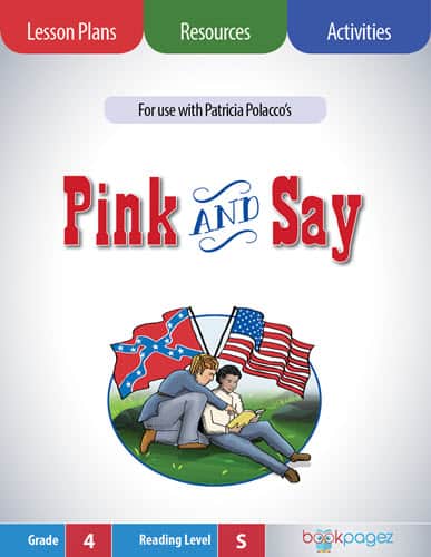 Pink and Say (Hardcover) 